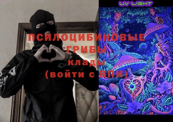 не бодяженный Новодвинск