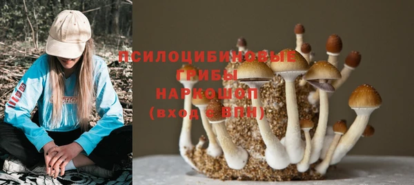 ECSTASY Нефтекумск