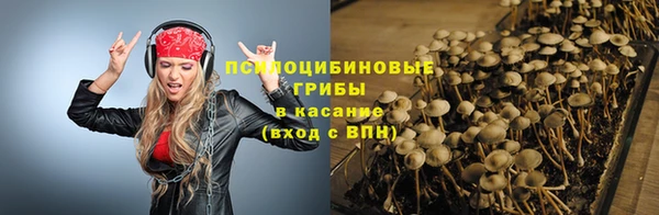 MESCALINE Новозыбков
