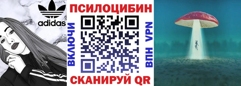 Галлюциногенные грибы Psilocybine cubensis  Медынь 